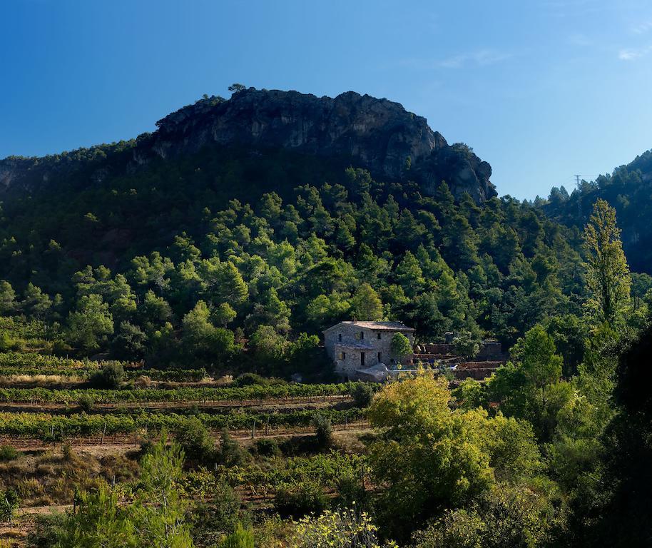 Les Quimeres Falset Oda fotoğraf